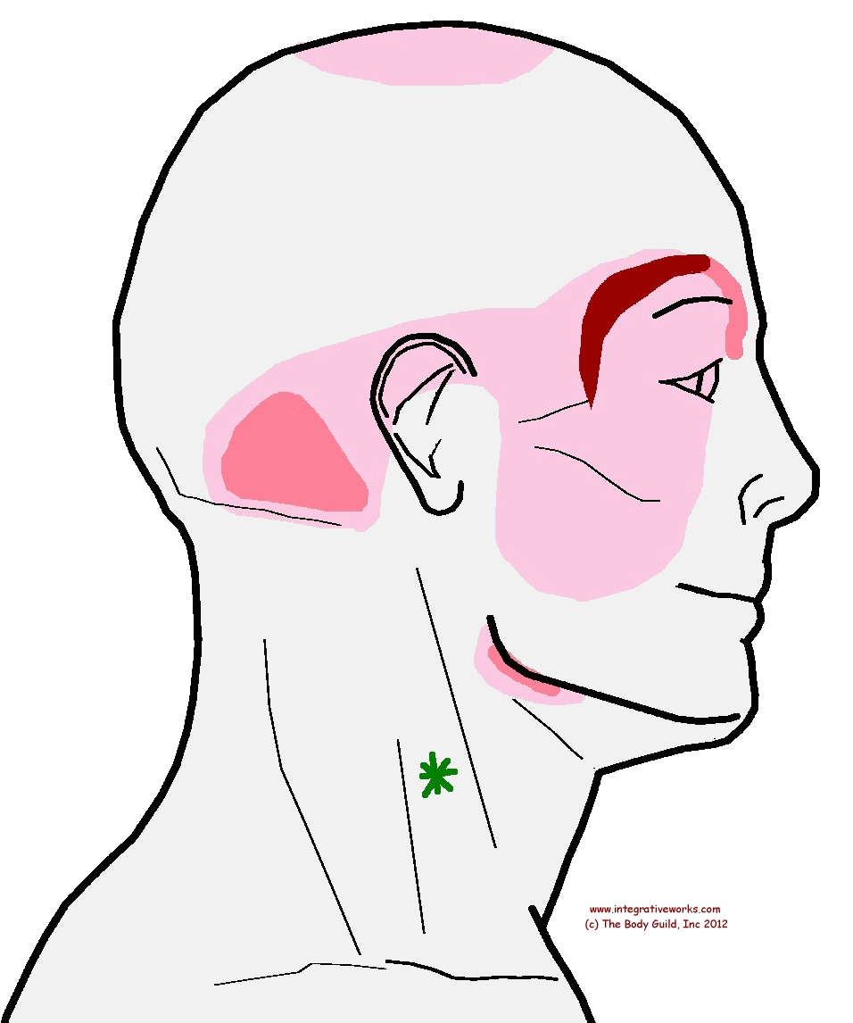 Stuffy Ears and Sinuses: The Sinus-Ear Connection