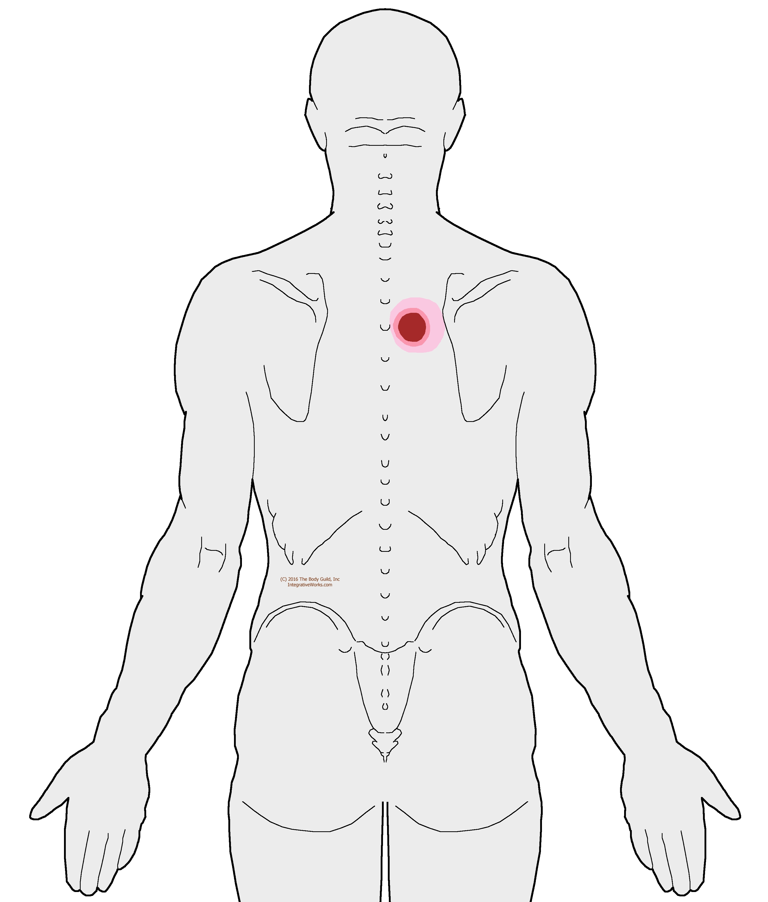 Stabbing Pain Between Shoulder Blades