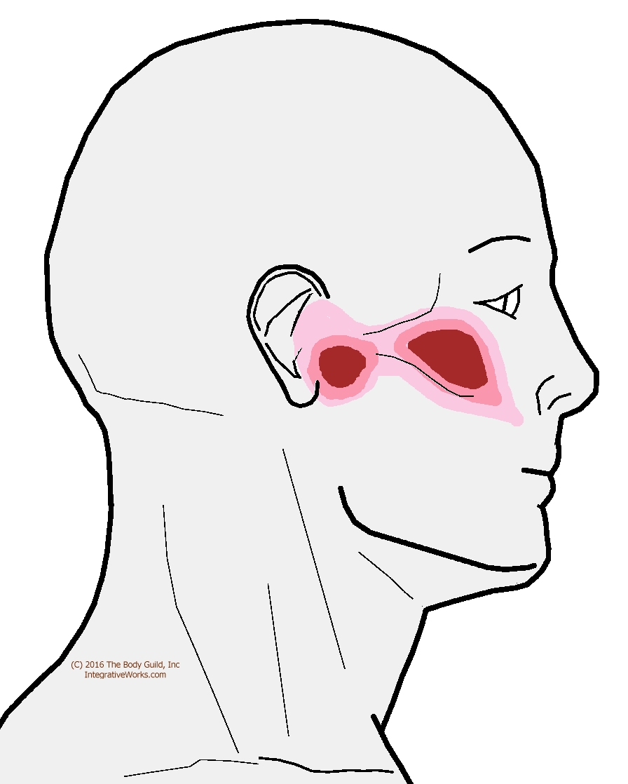 Can Sinus Pressure Cause Ear And Jaw Pain