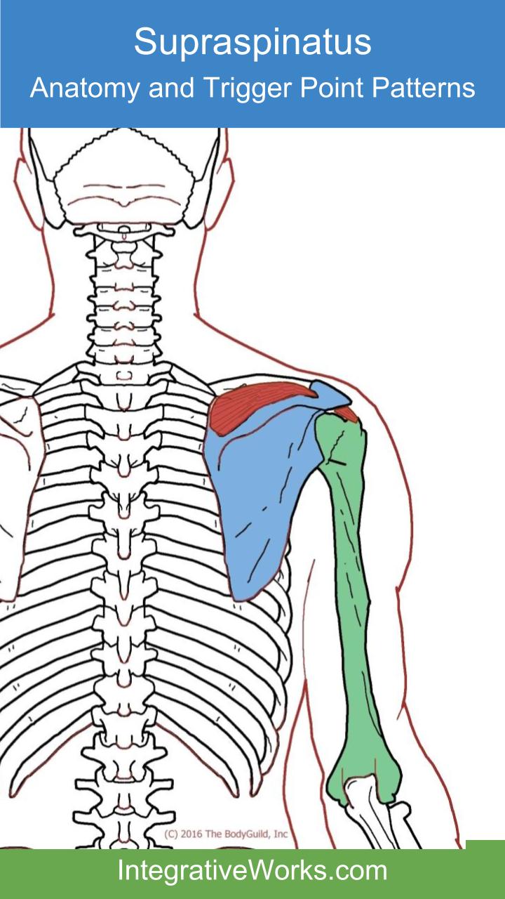 Unresolvable tennis elbow Integrative Works