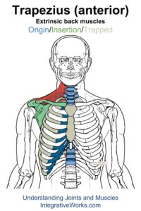 Headache At Your Temple with stiff neck | Integrative Works