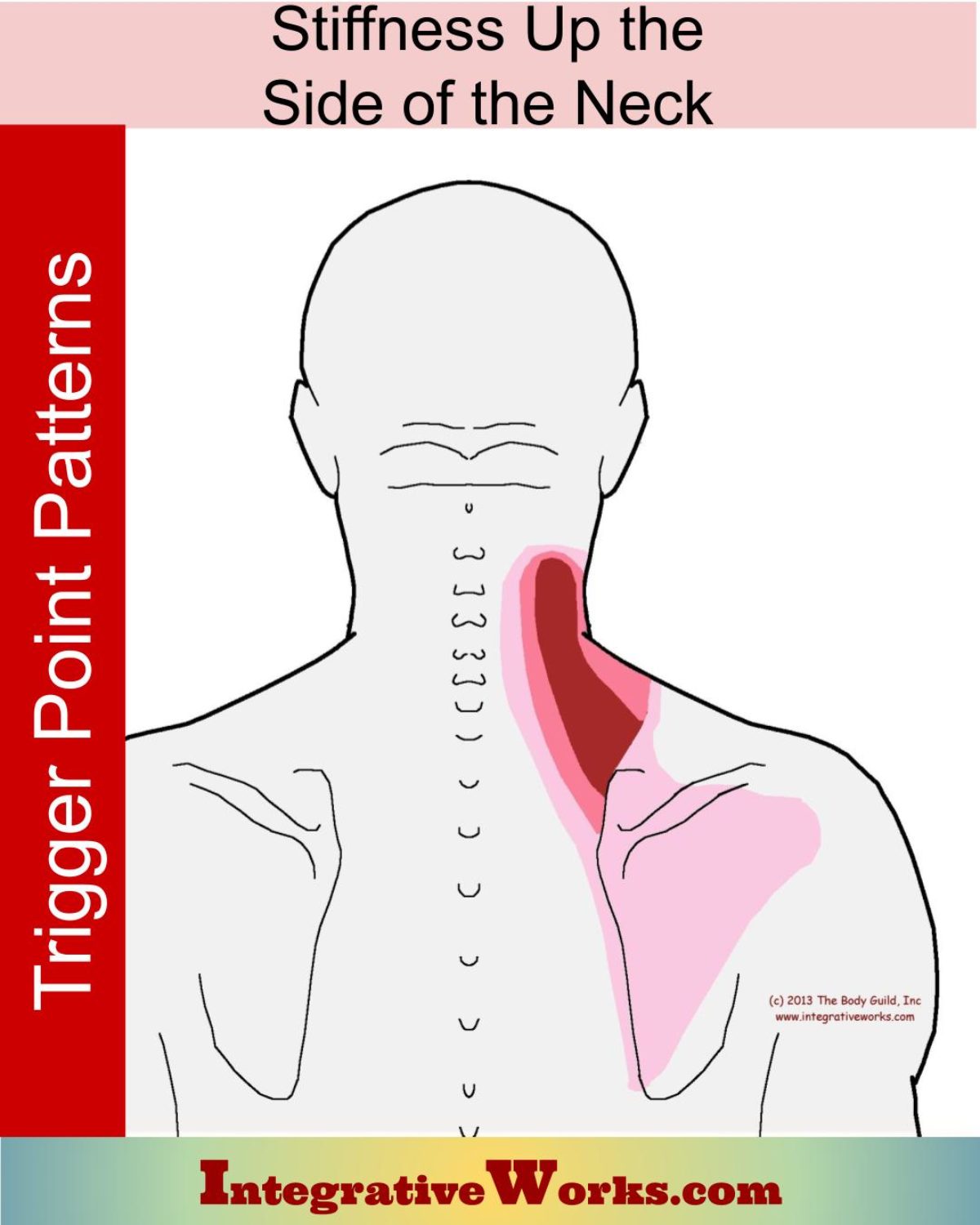 https://integrativeworks.com/wp-content/uploads/2013/03/triger-points-stiffness-up-side-of-neck-1200x1500.jpg