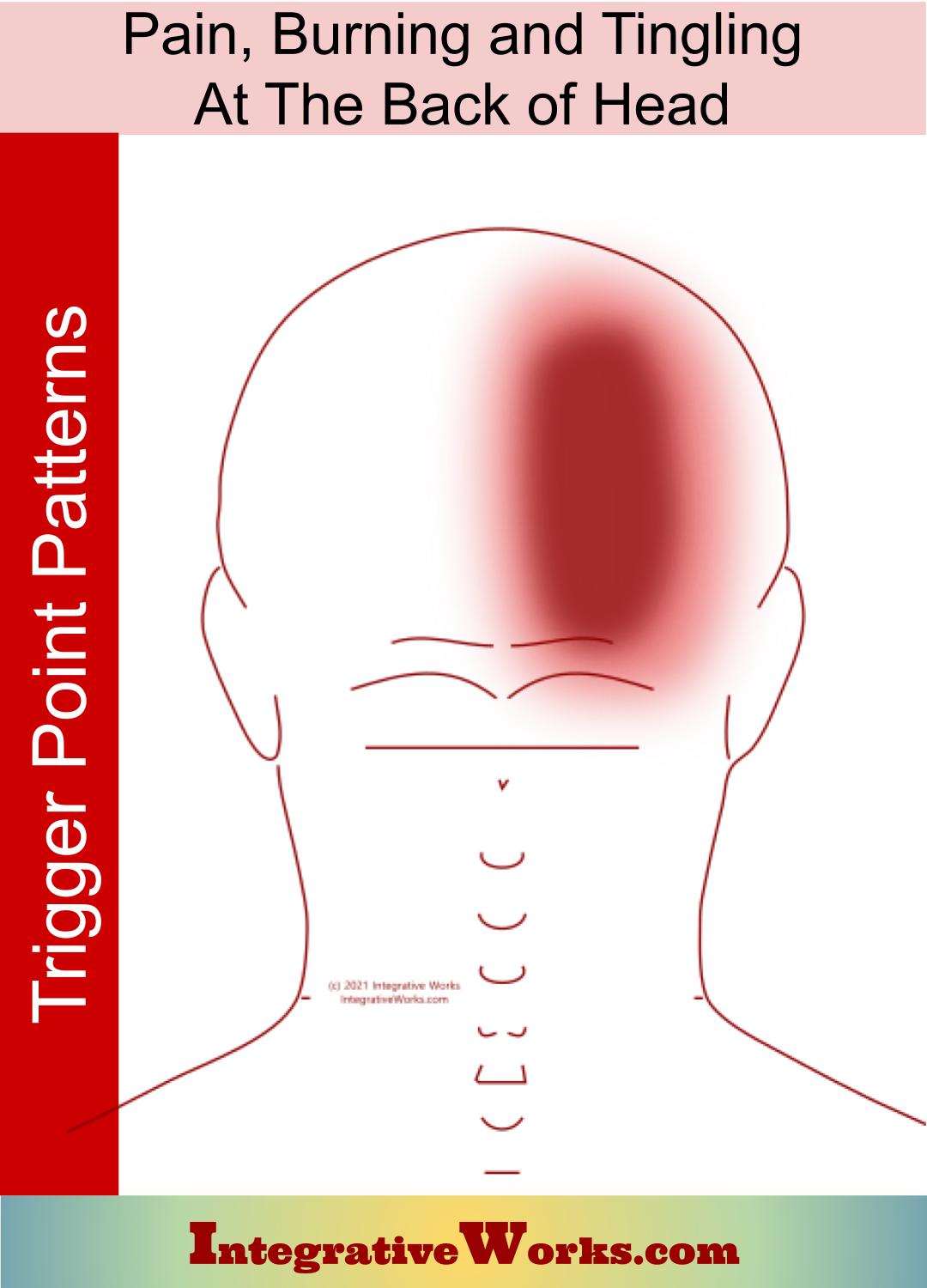 Pain Burning Tingling On Back Of Head Integrative Works