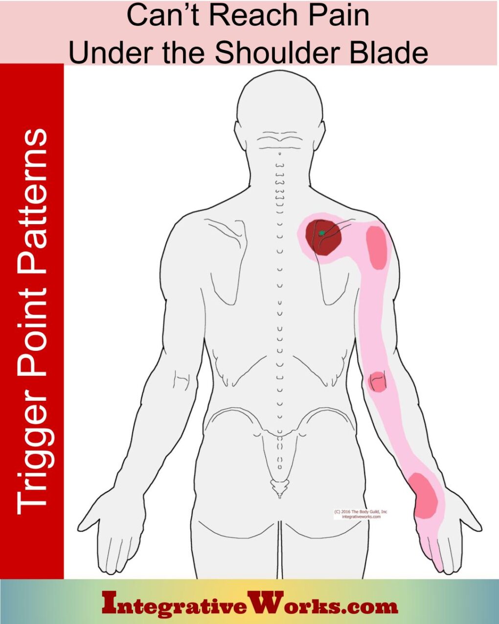 pain-between-shoulder-blades-when-breathing