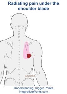 Pain at the Bottom of the Shoulder-Blade | Integrative Works