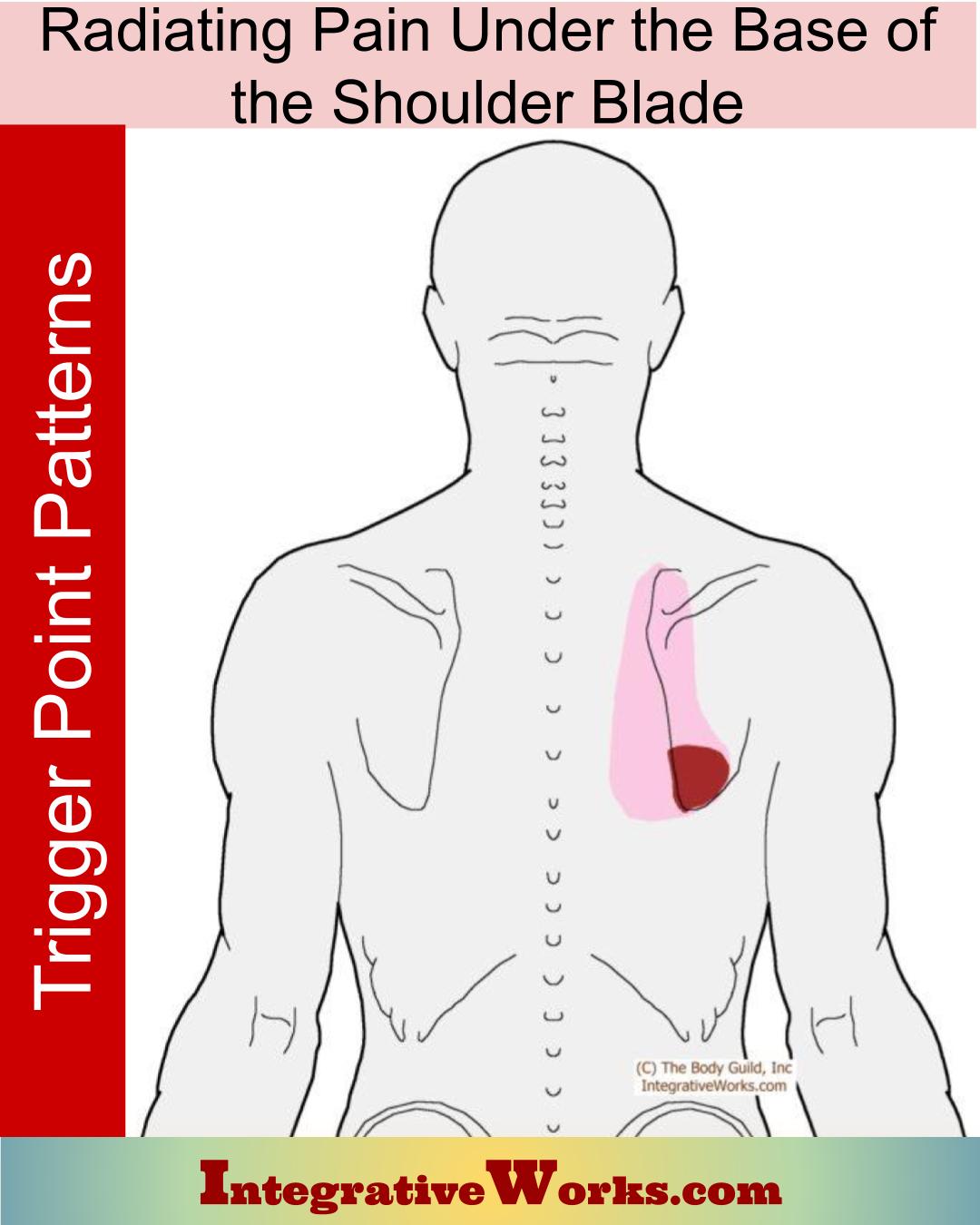 Radiating Pain Under the Base of the Shoulder Blade Integrative