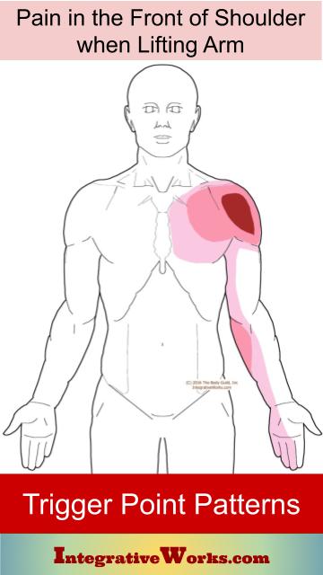 Sharp Pain in Front of Shoulder, with Tight Low Back - Integrative Works