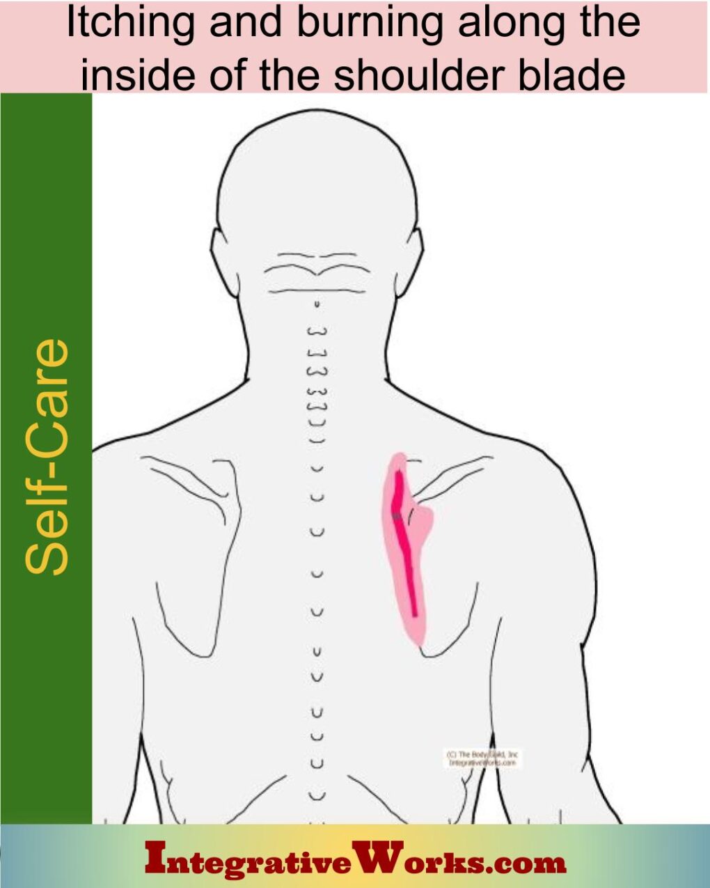 Burning And Itching Along The Shoulder Blade Integrative Works