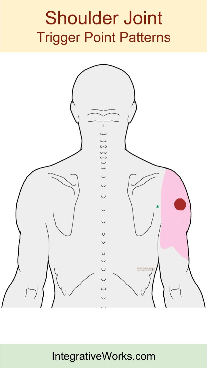 tags-shoulder-joint