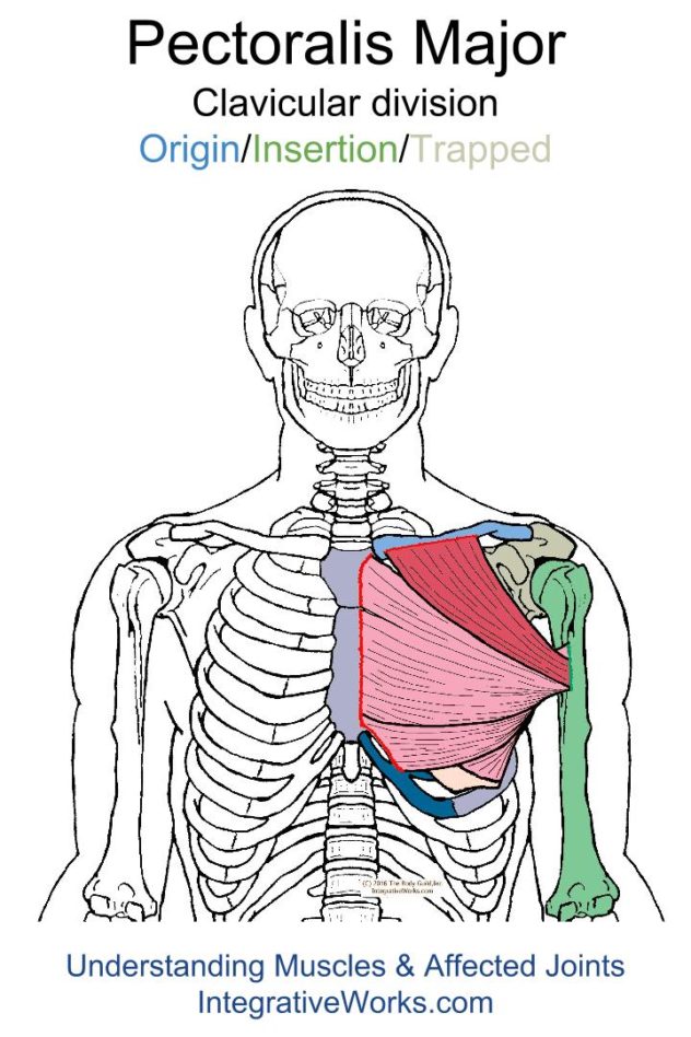 Shoulder pain when arm is out to the side | Integrative Works