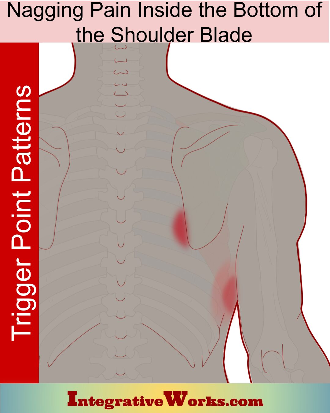 Nagging Pain Inside The Bottom Of The Shoulder Blade Integrative Works