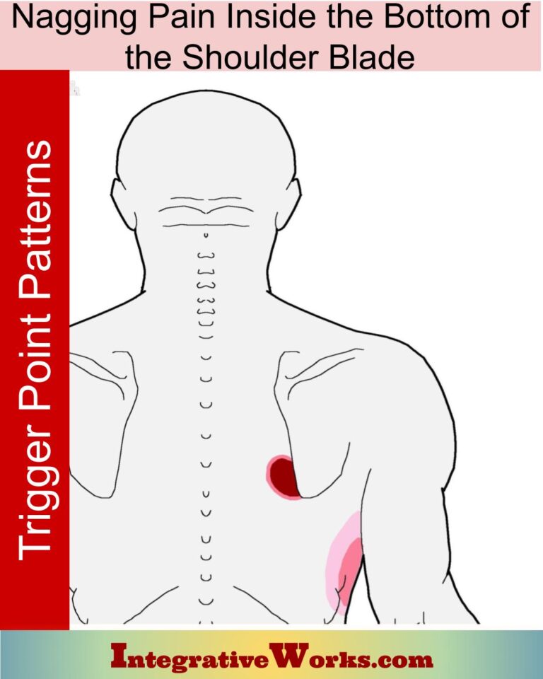 pain-between-shoulder-blades-pain-patterns-causes-self-care