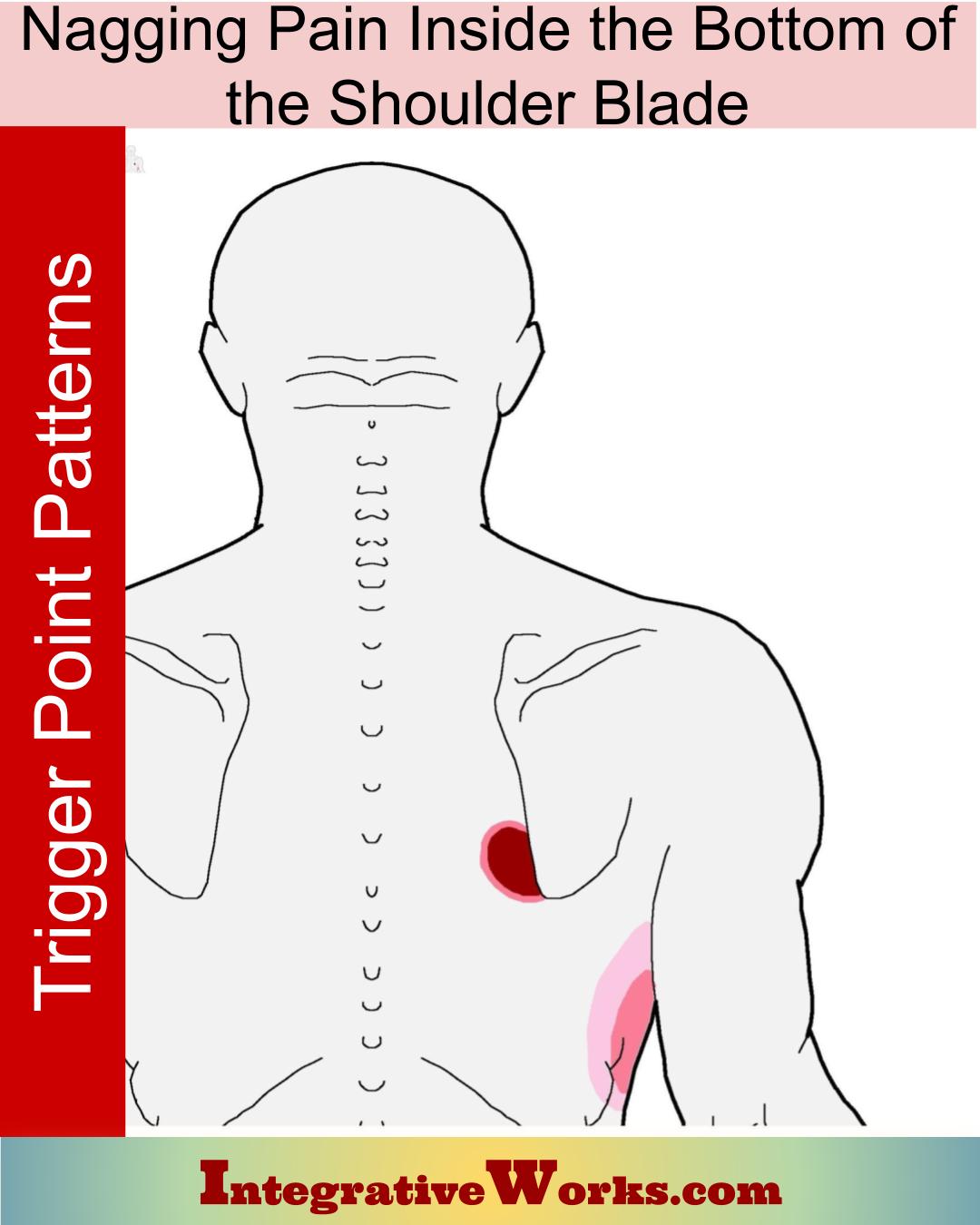 shoulder-shoulder-blade-scapula-pain