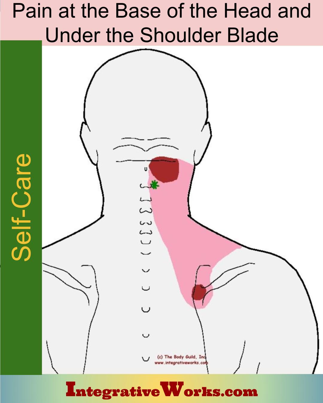 Self Care – Pain at the Base of the Head and Under Shoulder Blade