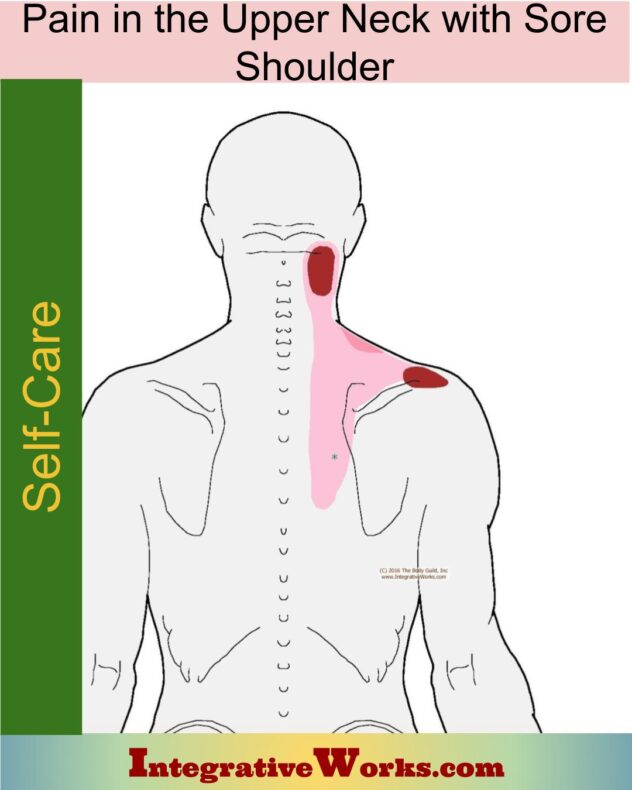 Pain Between Shoulder Blades Pain Patterns Causes Self Care 