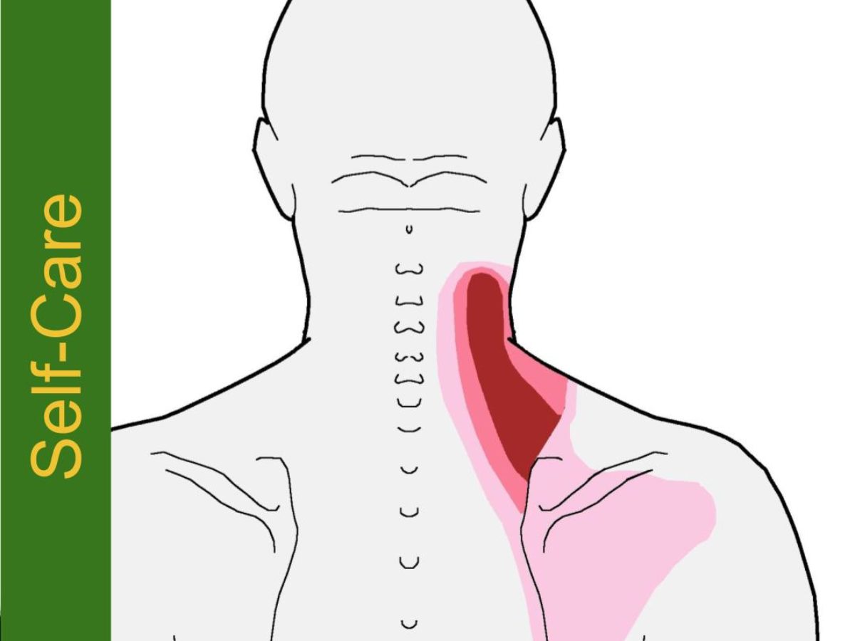 Self Care - Neck Pain with Sore Shoulder Self Care-Neck