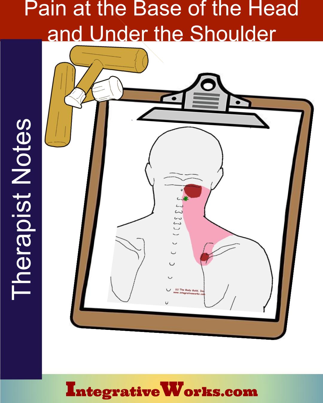 Pain at the Base of the Head and Under Shoulder Blade – Massage Therapy Notes