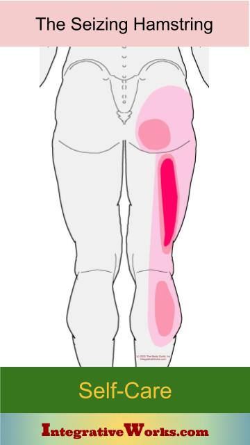 Trigger Points And The Seizing Hamstring - Integrative Works