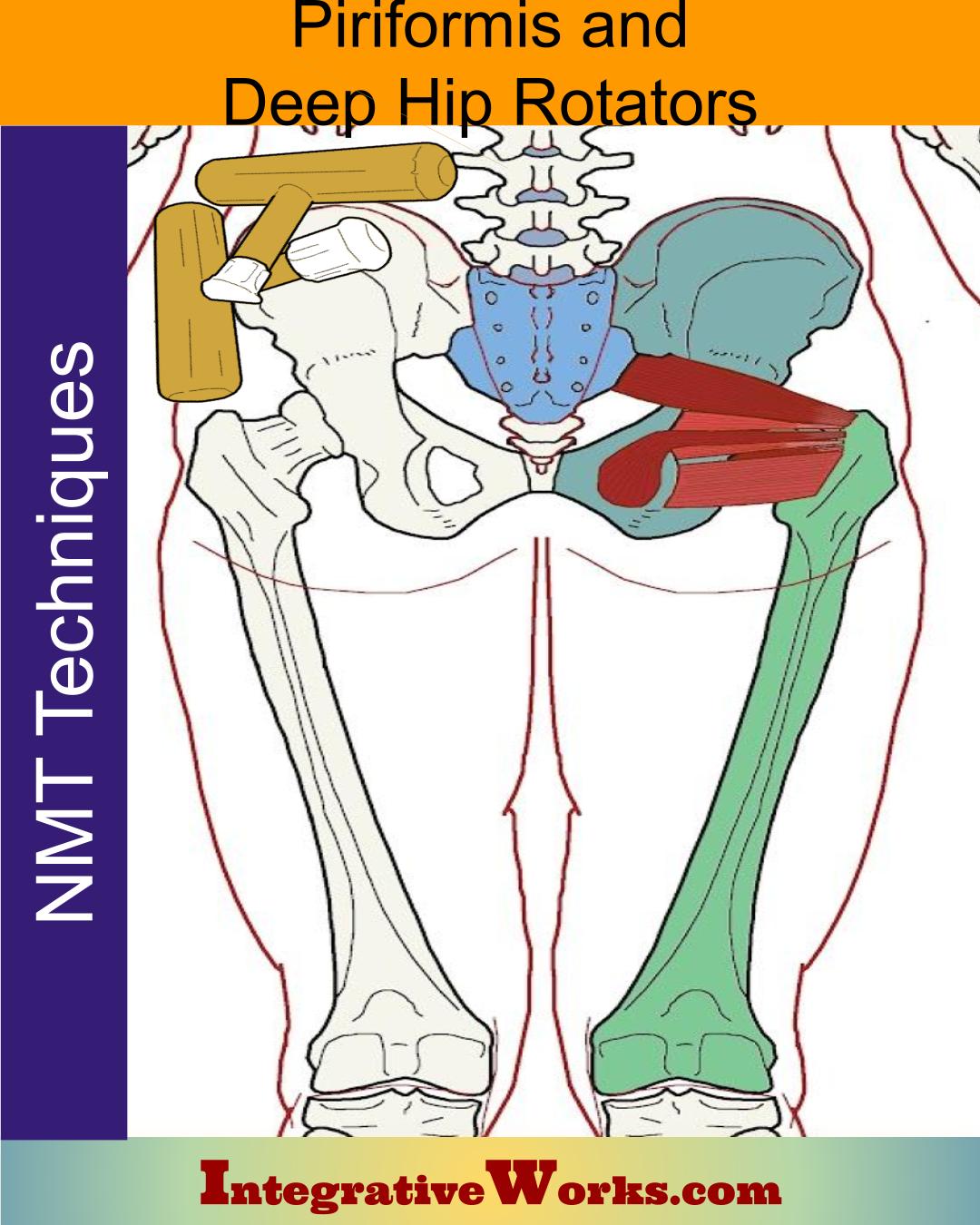 How To Massage - Deep External Rotator Muscles of the Hip 