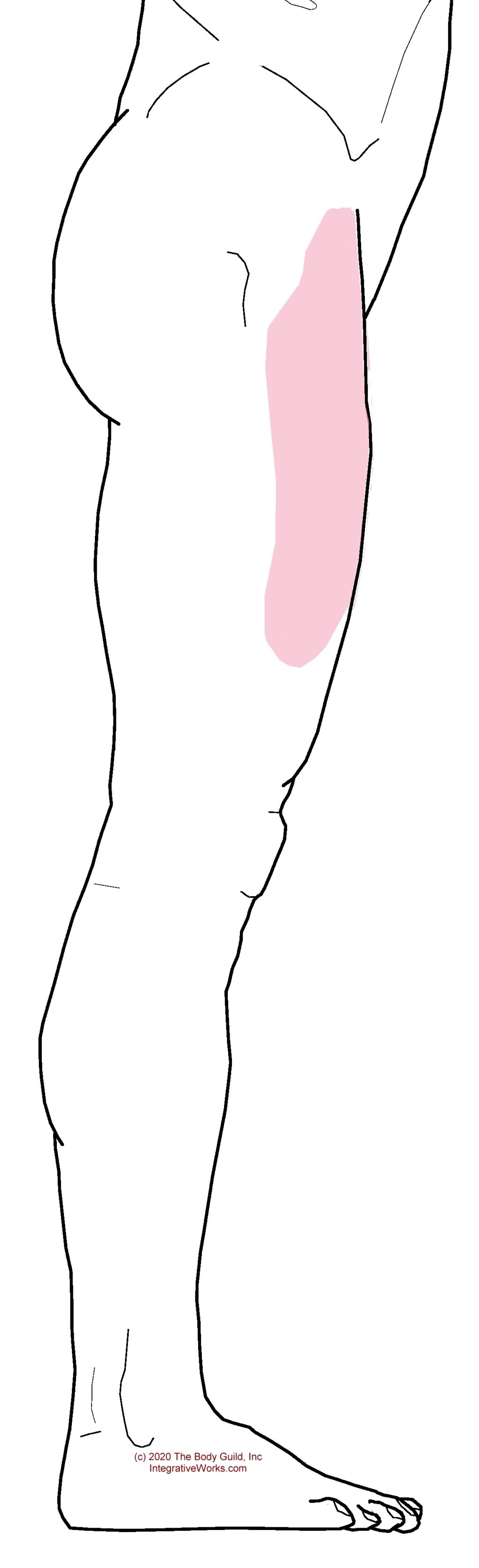 What Causes Numbness In Upper Left Leg