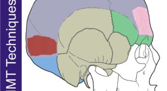 Occipitalis – Neuromuscular Massage Protocol