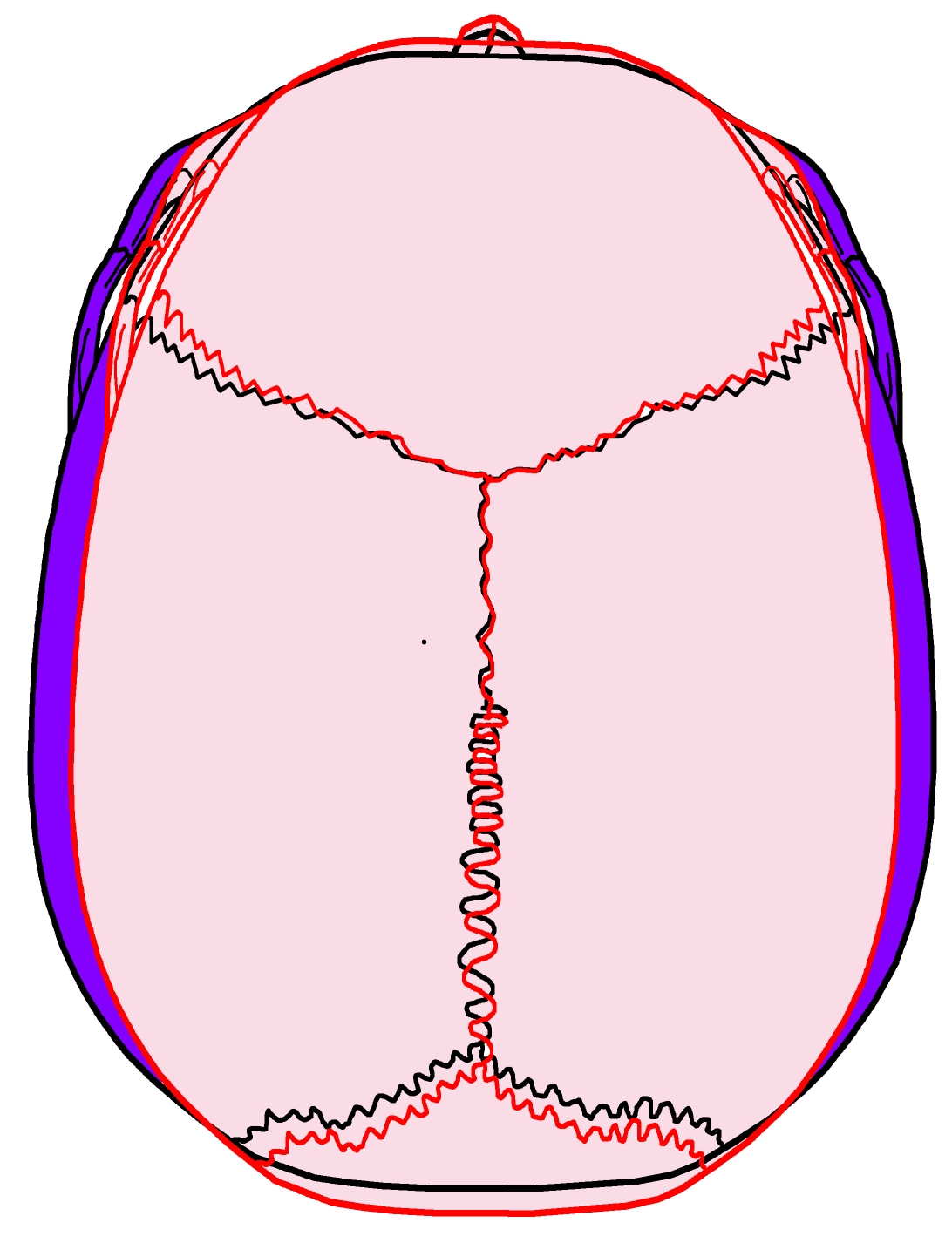 Feel Your Craniosacral Cycle - Integrative Works