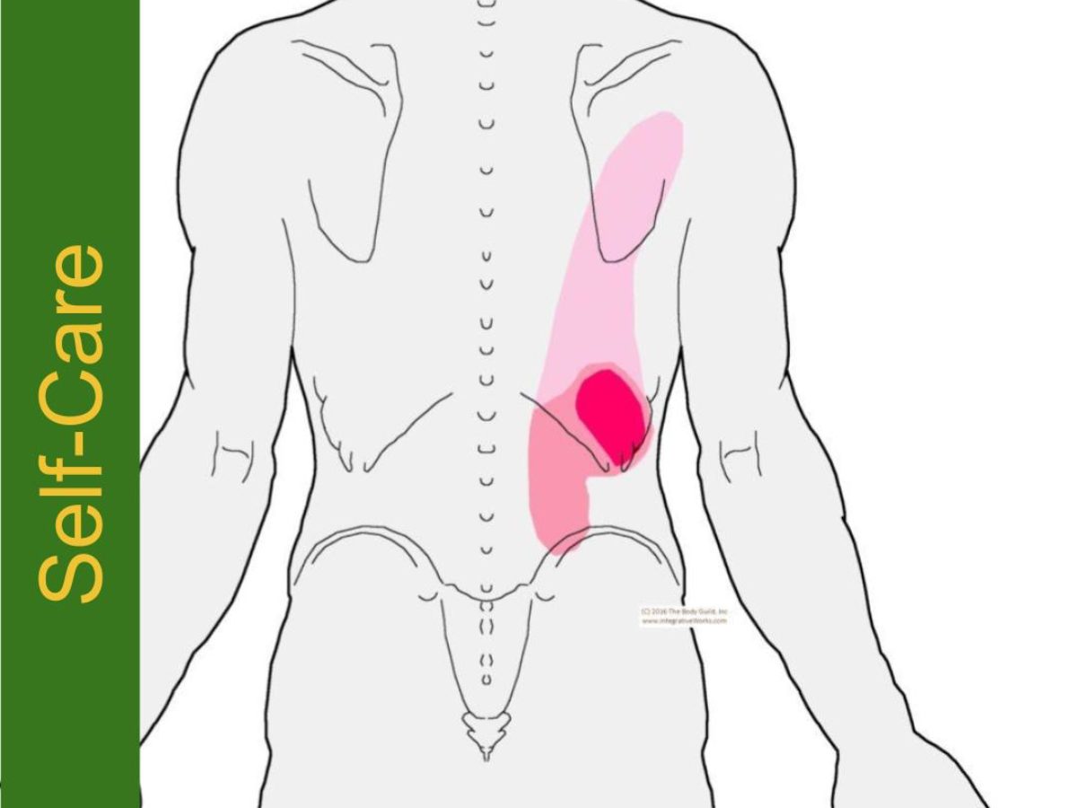 Self-Care - Mid Back Pain Often with Stiff Low Back - Integrative Works