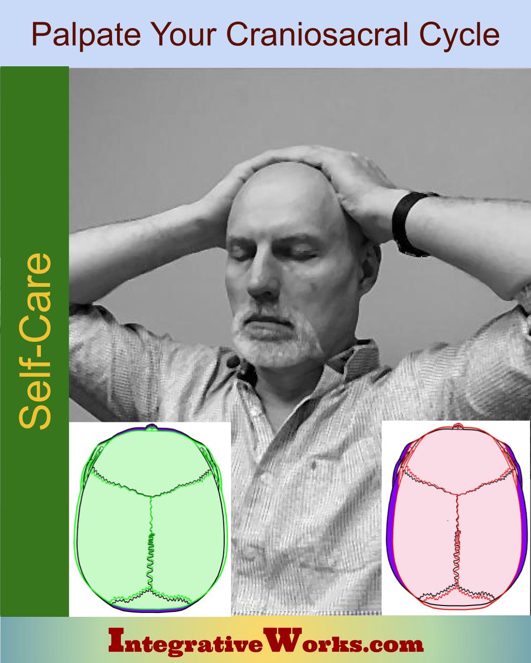 Feel Your Craniosacral Cycle