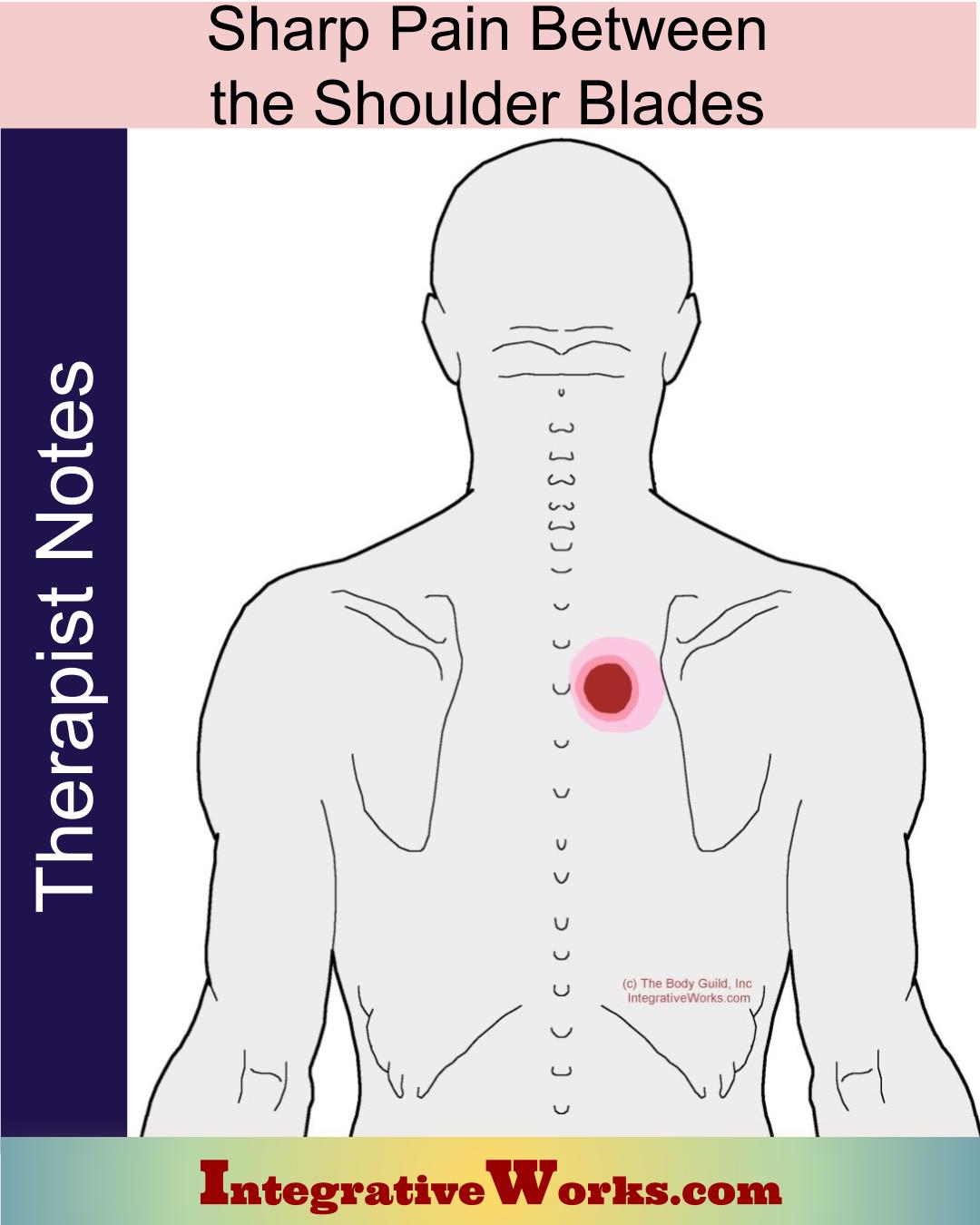 Sharp Pain Between the Shoulder Blades – Massage Therapy Notes