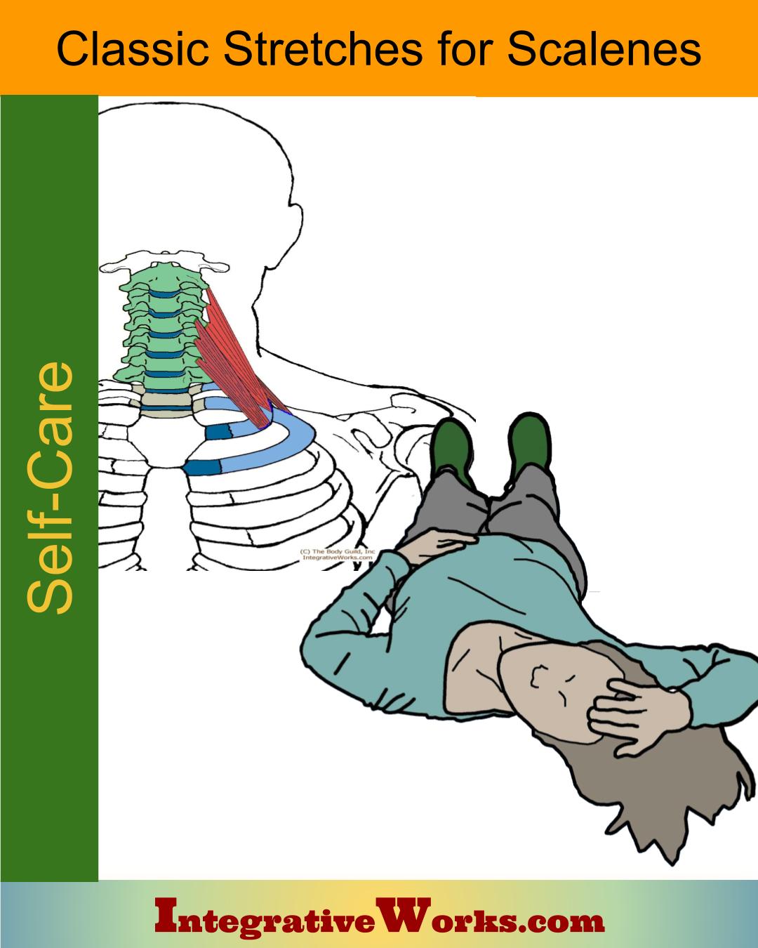 Stretching for scalene muscles