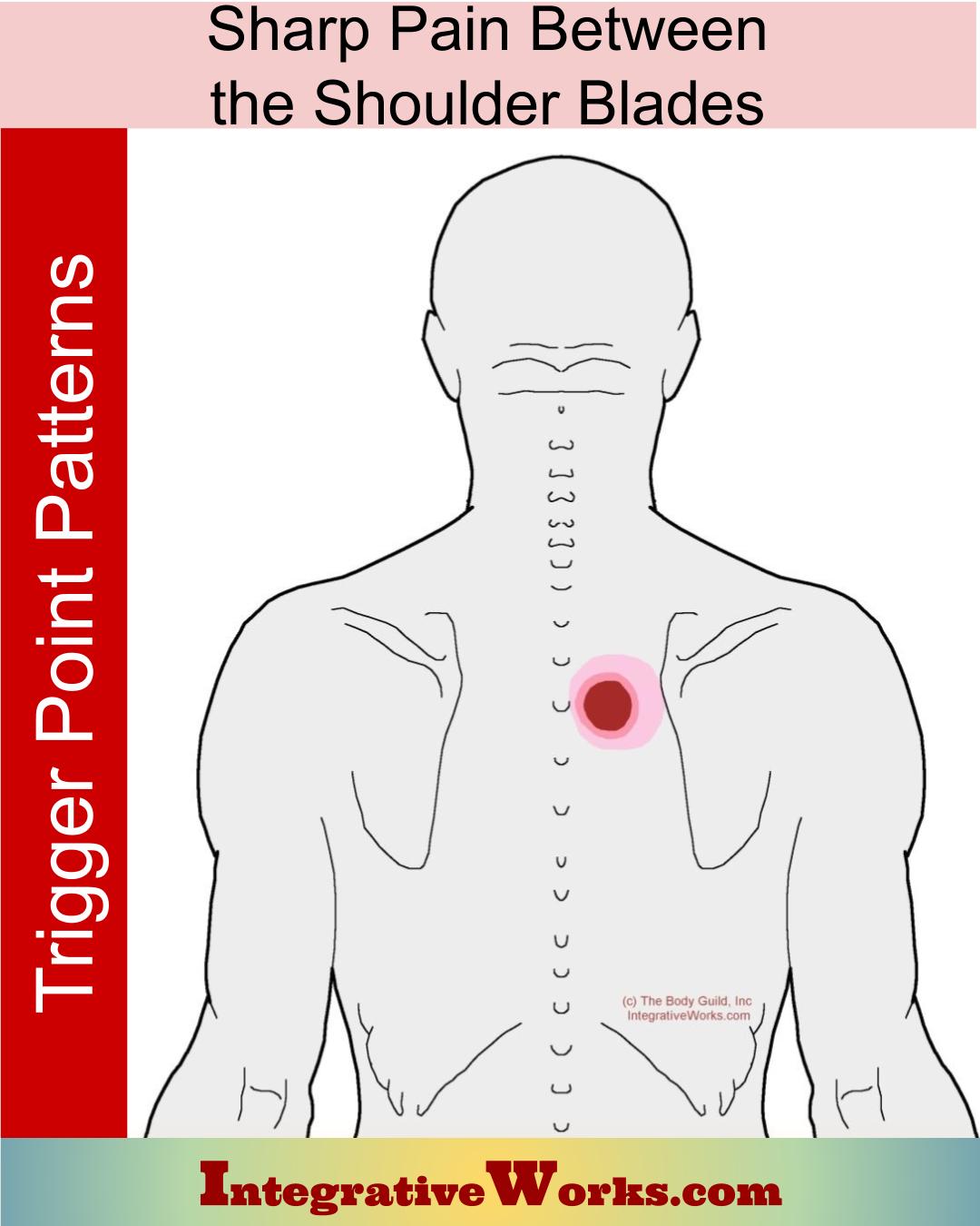 Right Shoulder Blade Pain And Chest Tightness