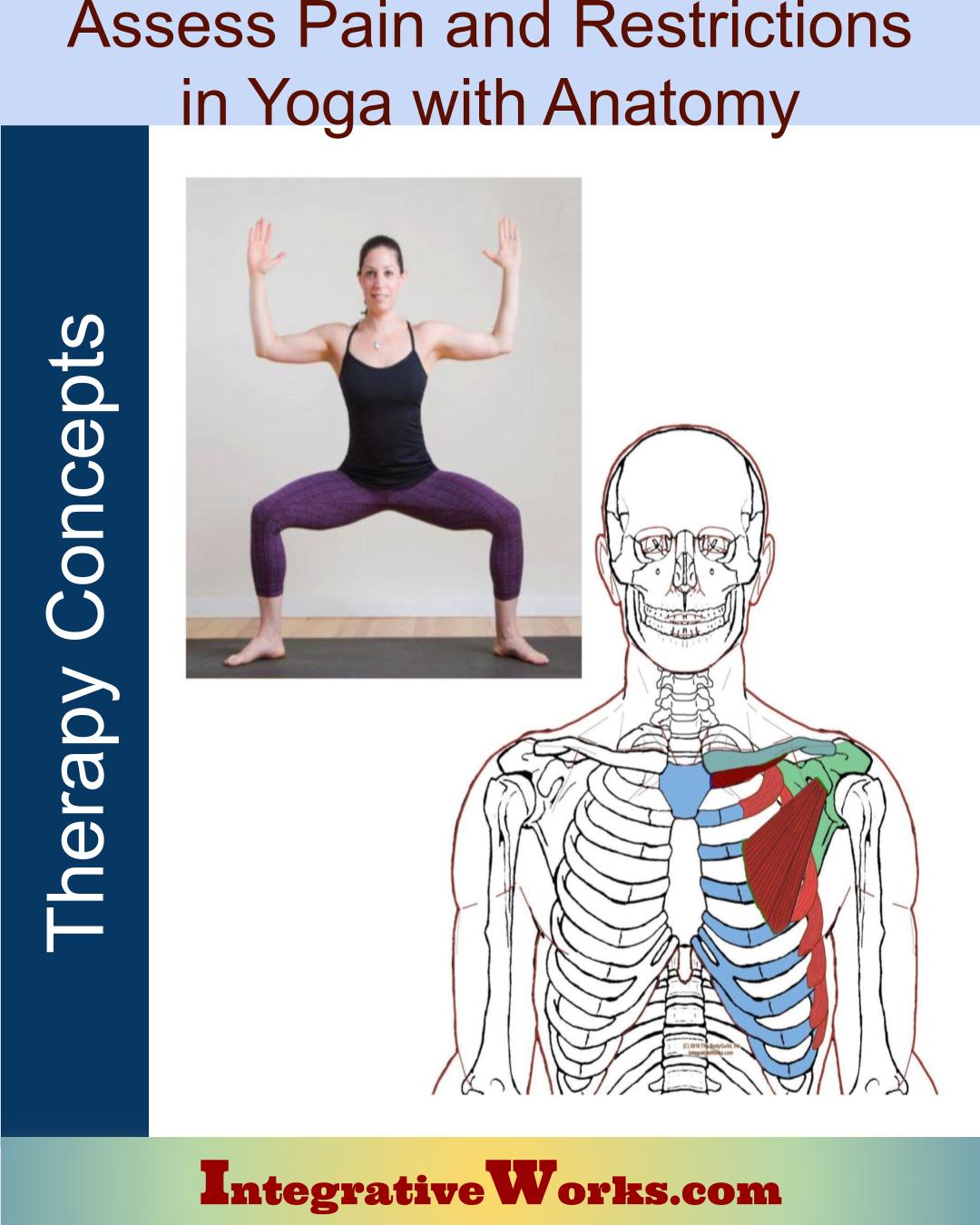 Assess Pain and Restriction in Yoga with Anatomy