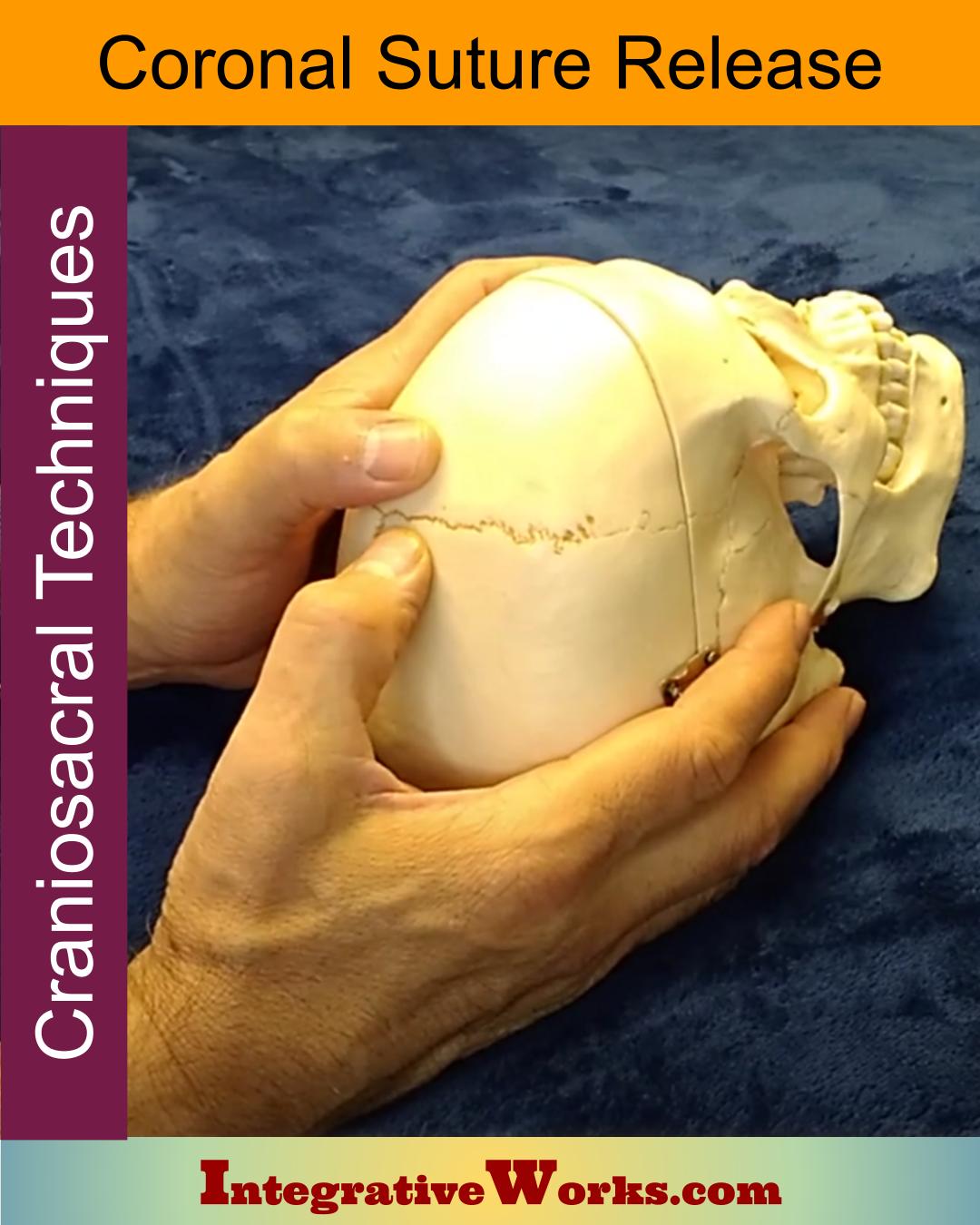 Craniosacral – Coronal Suture Release