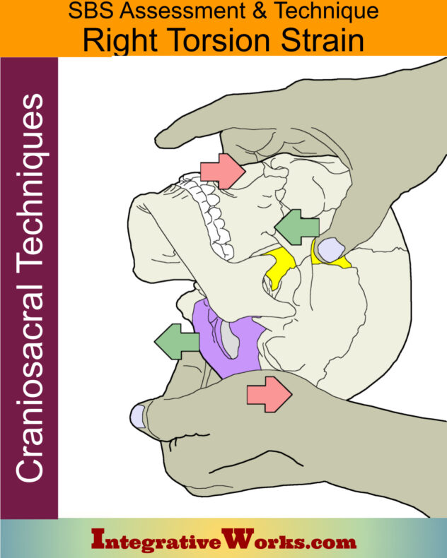 Right Torsion Strain - SBS Assessment and Technique - Integrative Works