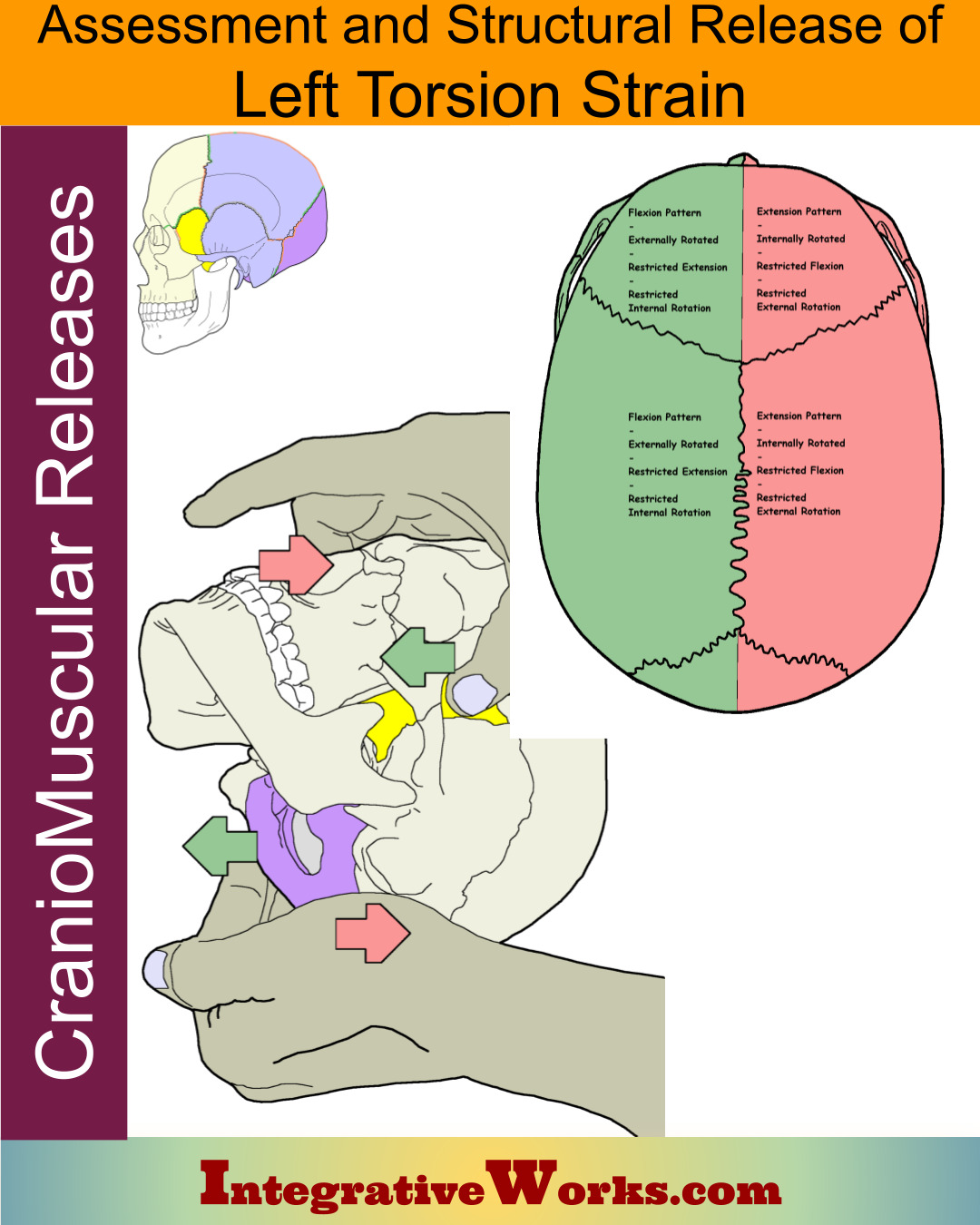 Left Torsion – CranioMuscular Assessment and Release