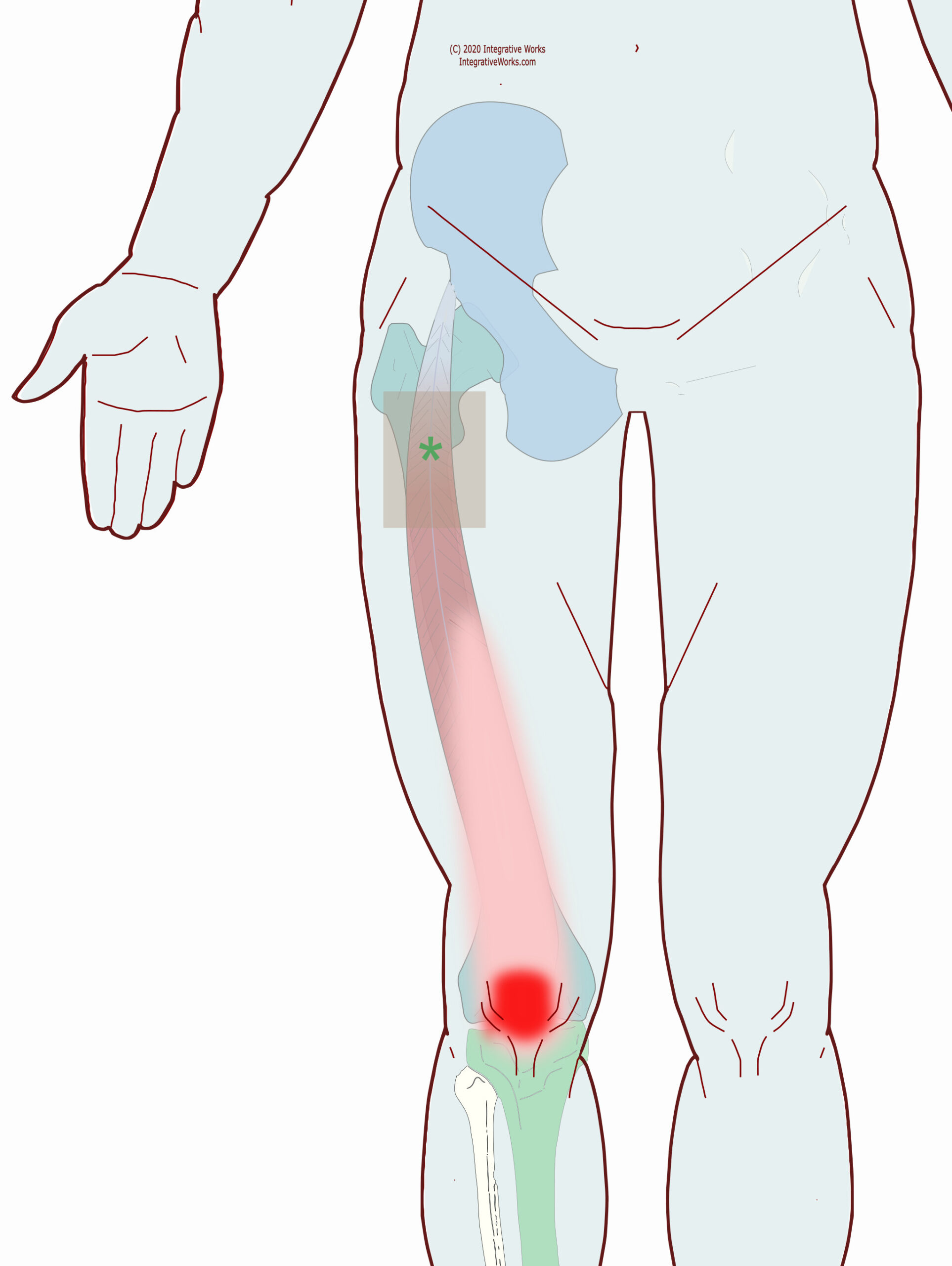SelfCare Pain in Knee Cap Integrative Works