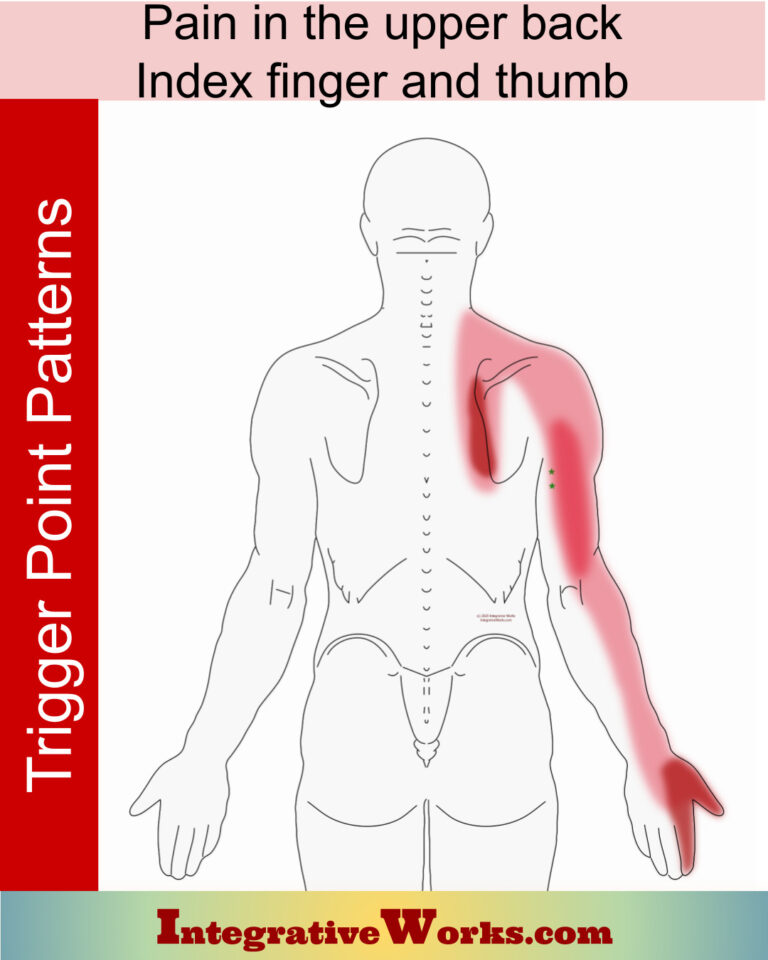 Upper Back Pain Archives - Integrative Works
