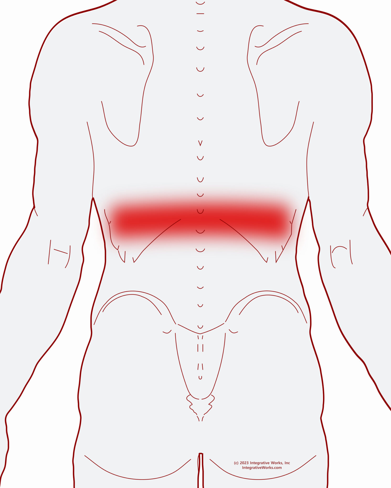 Band of Pain Across the Mid-back - Integrative Works