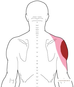 Shoulder Pain and Clicking While Grooming - Integrative Works